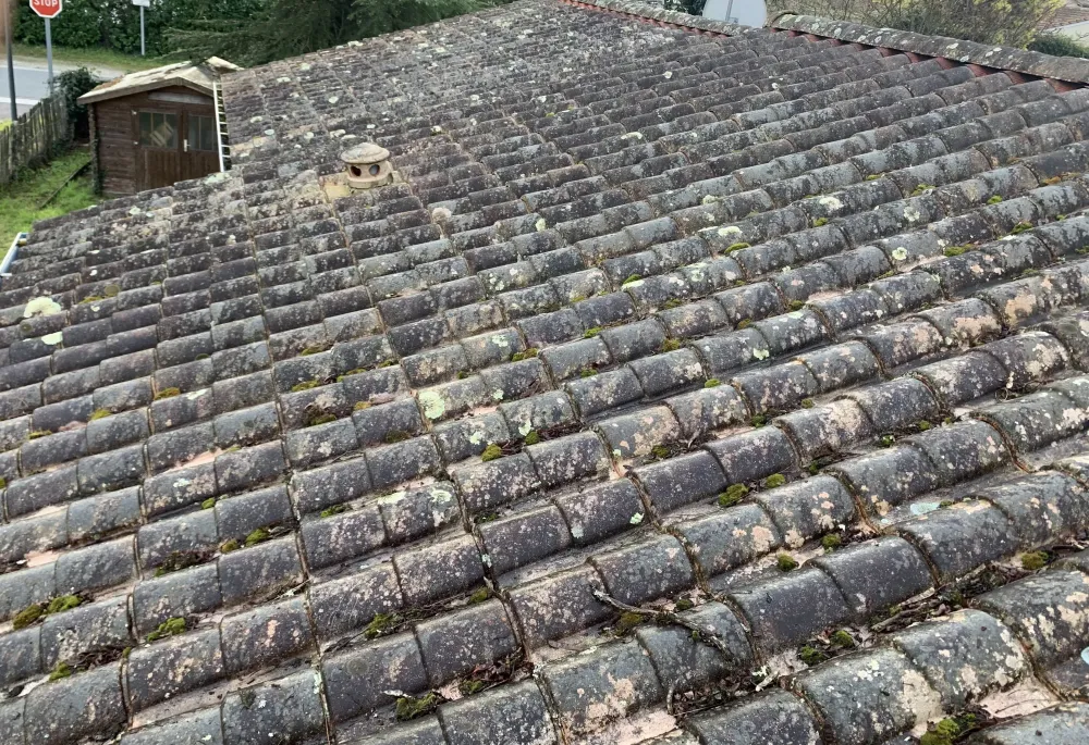 Nettoyage toiture avant