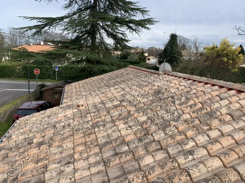 Nettoyage toiture aprèswebp